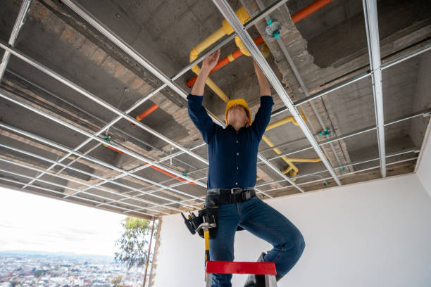 Best Plumbing Repair Near Me  in Rock Port, MO